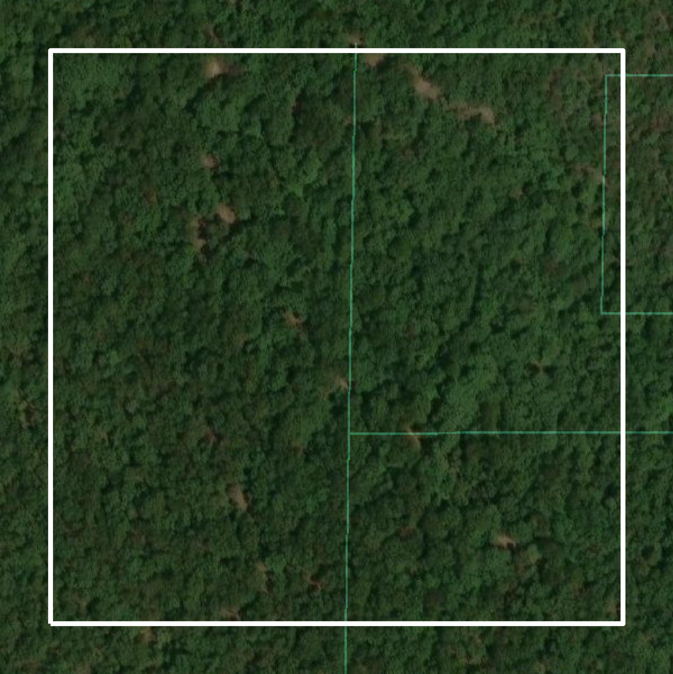 This image shows parcel and building data in Marion County created using GIS data in Equator.