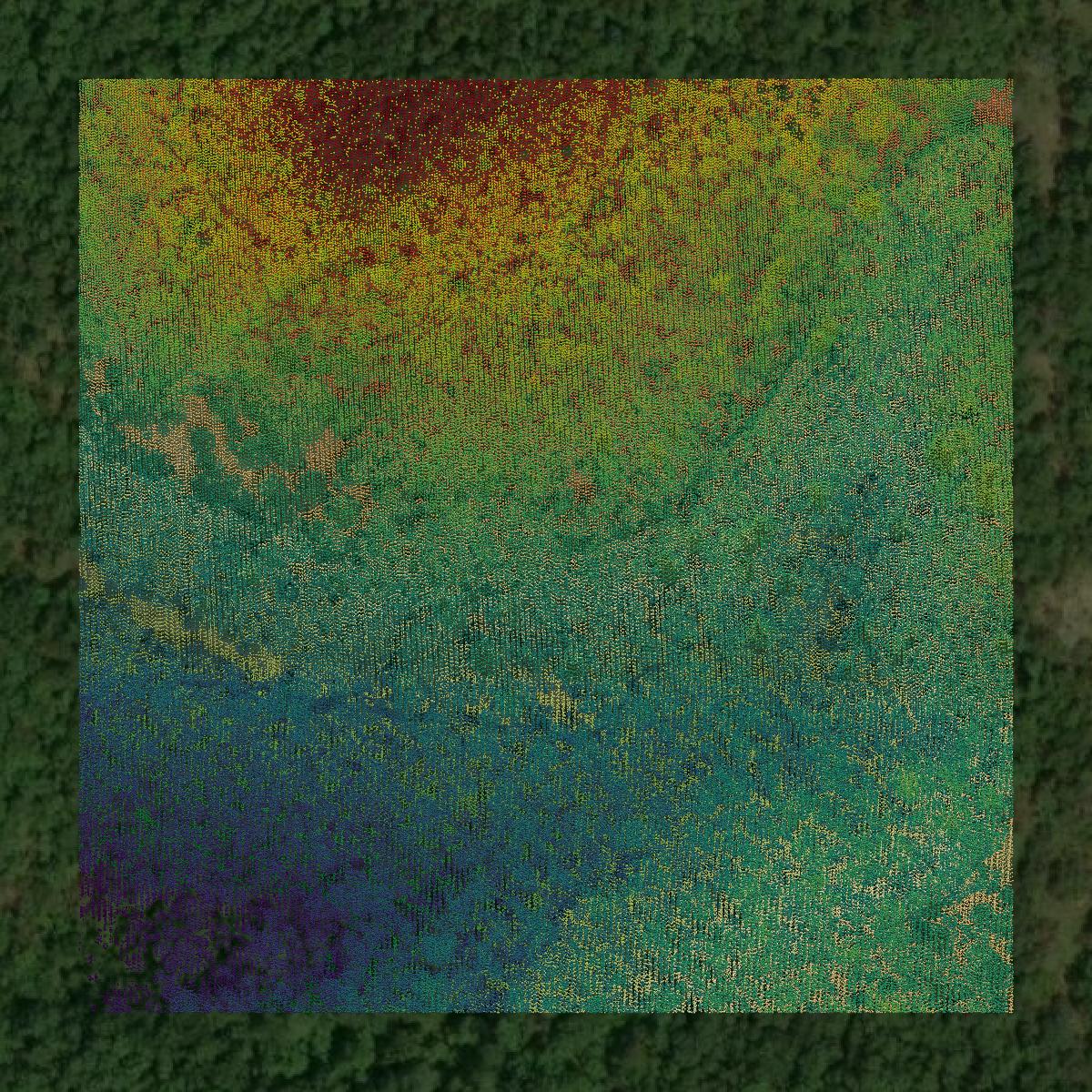 This image shows a LiDAR point cloud in Marion County created using GIS data in Equator.