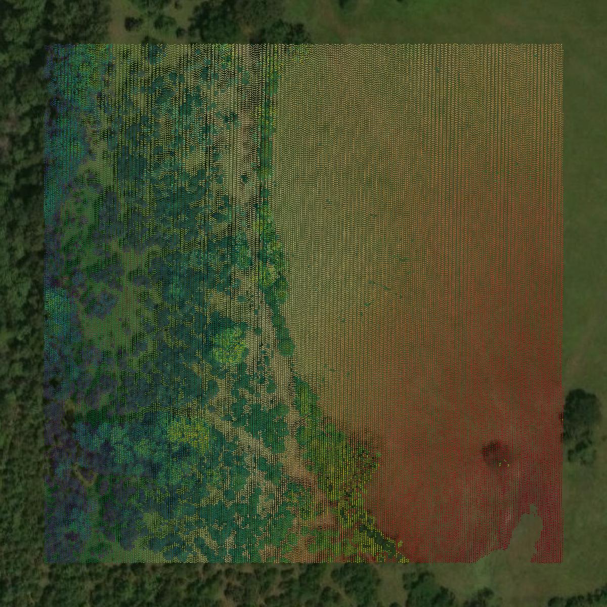This image shows a LiDAR point cloud in Marion County created using GIS data in Equator.