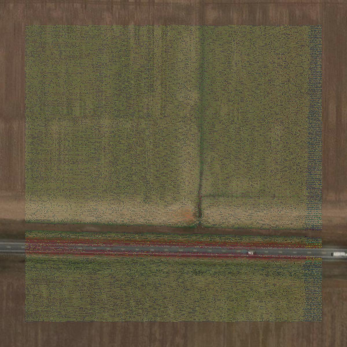 This image shows a LiDAR point cloud in Miller County created using GIS data in Equator.