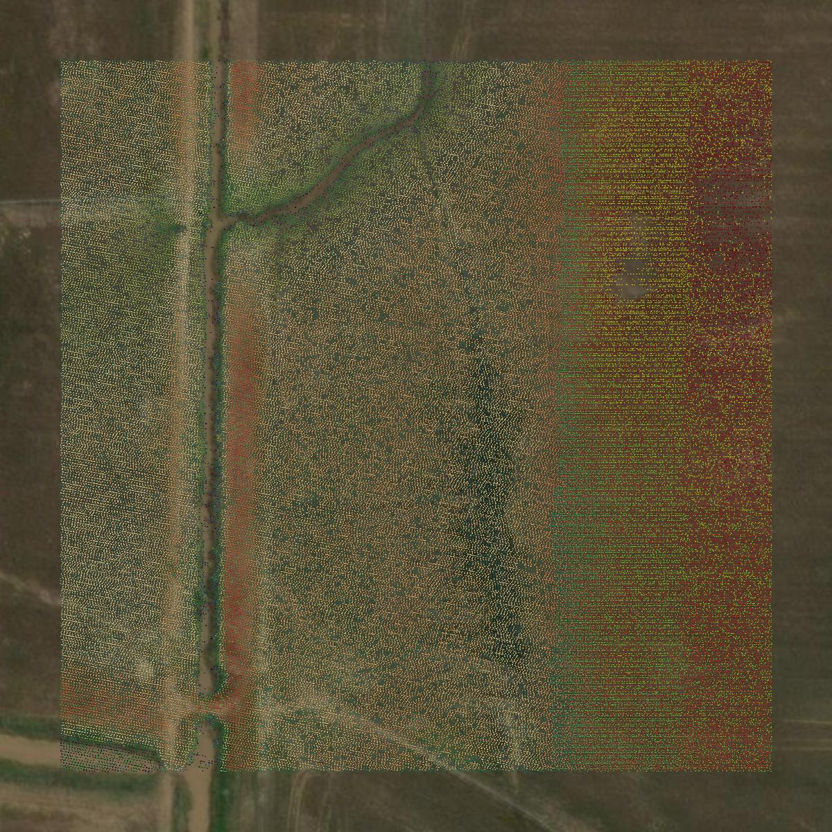 This image shows a LiDAR point cloud in Miller County created using GIS data in Equator.