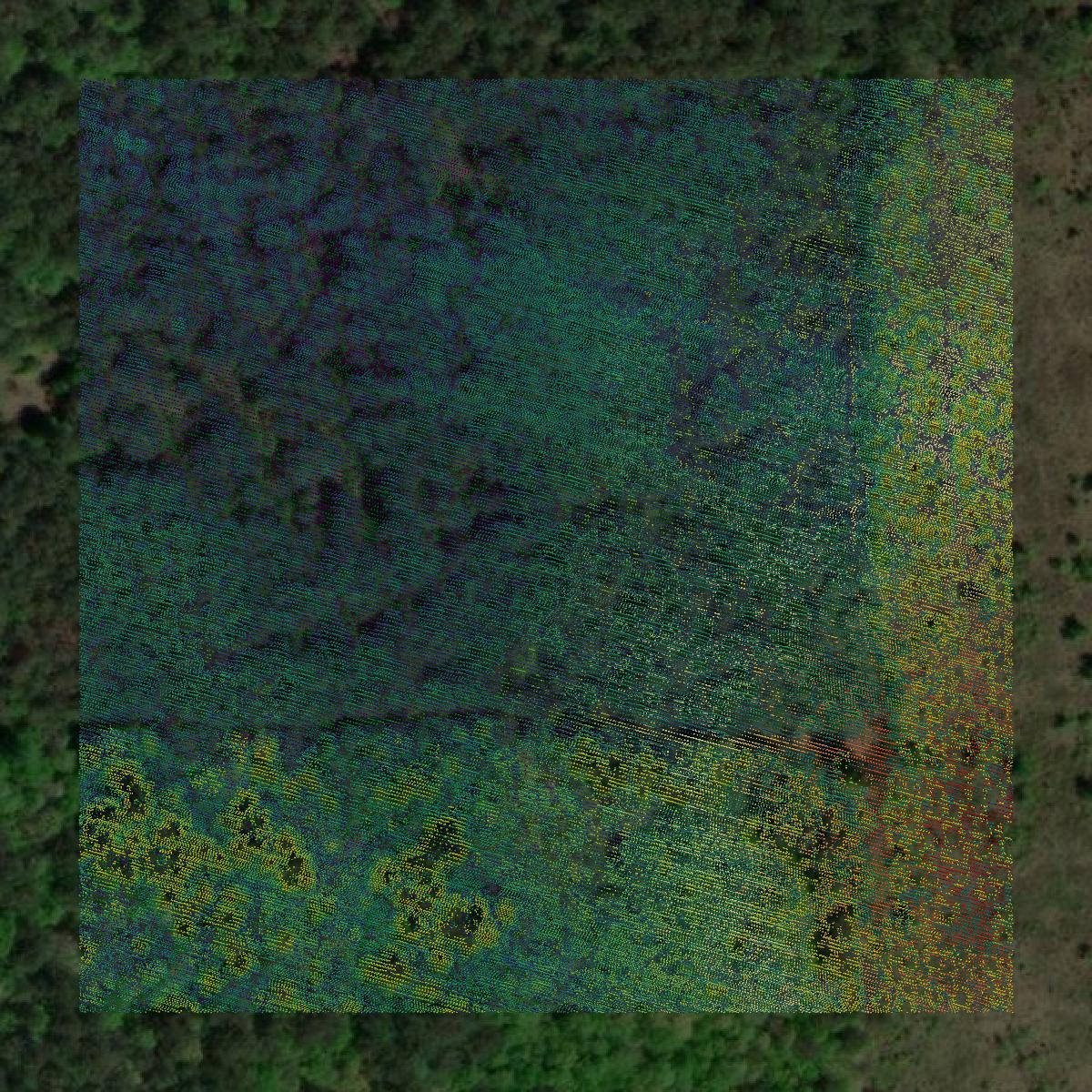 This image shows a LiDAR point cloud in Nevada County created using GIS data in Equator.