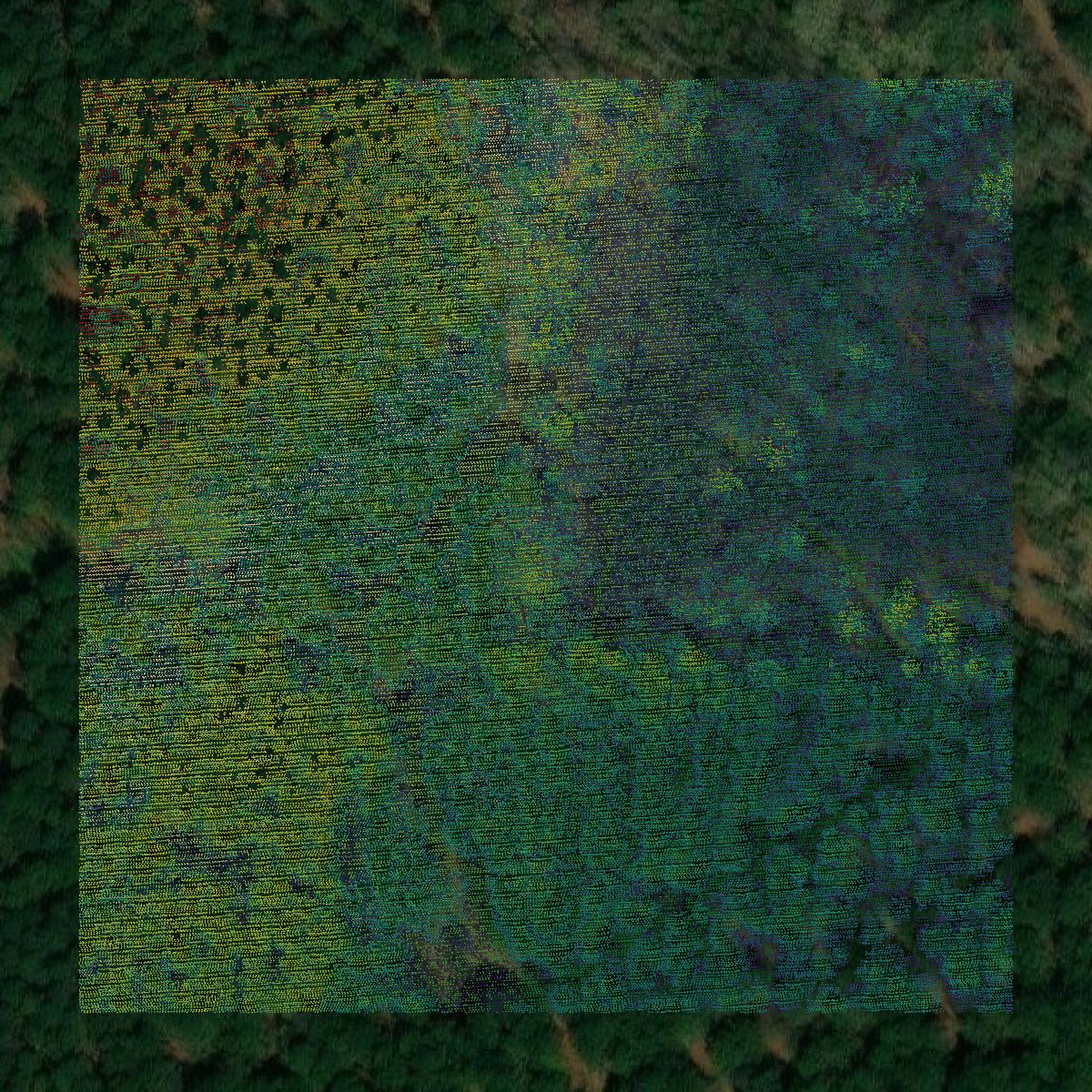 This image shows a LiDAR point cloud in Nevada County created using GIS data in Equator.