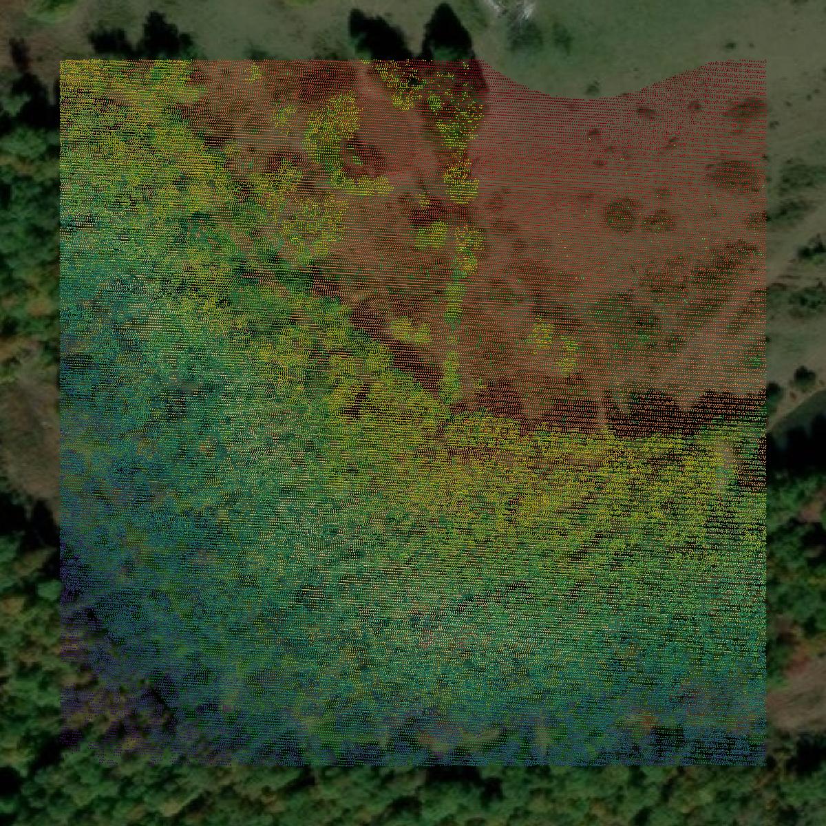 This image shows a LiDAR point cloud in Newton County created using GIS data in Equator.
