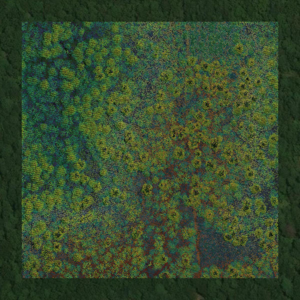 This image shows a LiDAR point cloud in Ouachita County created using GIS data in Equator.