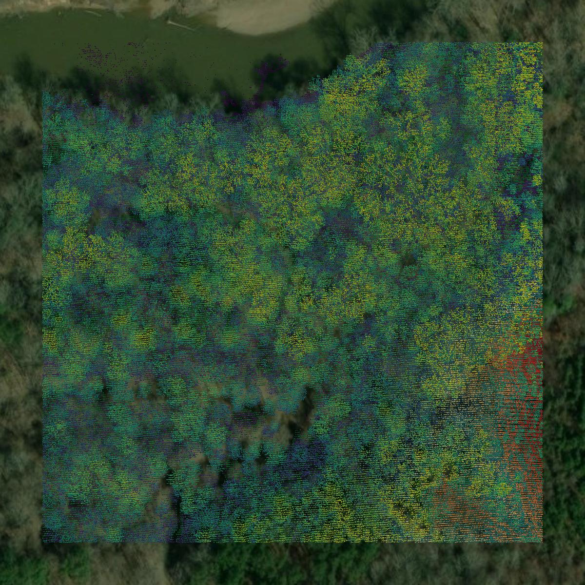 This image shows a LiDAR point cloud in Ouachita County created using GIS data in Equator.
