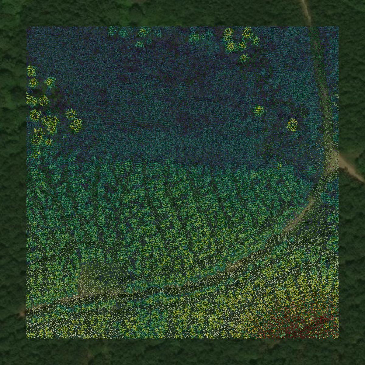 This image shows a LiDAR point cloud in Pike County created using GIS data in Equator.