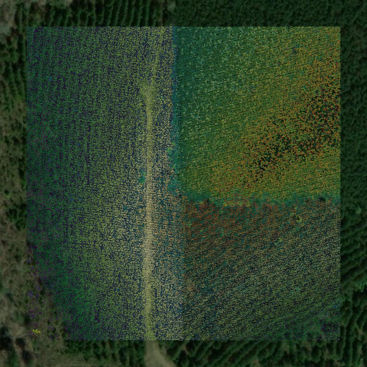 This image shows a LiDAR point cloud in Pike County created using GIS data in Equator.