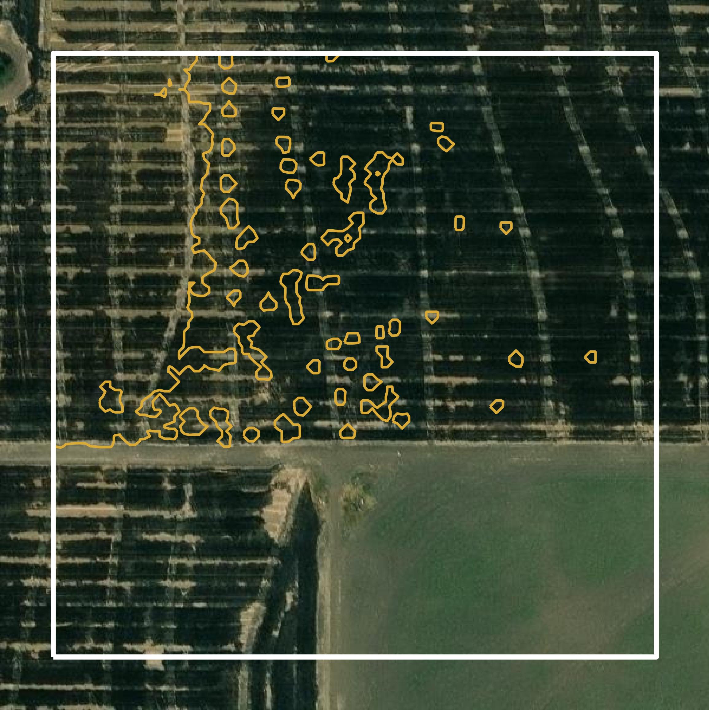 This image shows a contour map in Poinsett County created using GIS data in Equator.