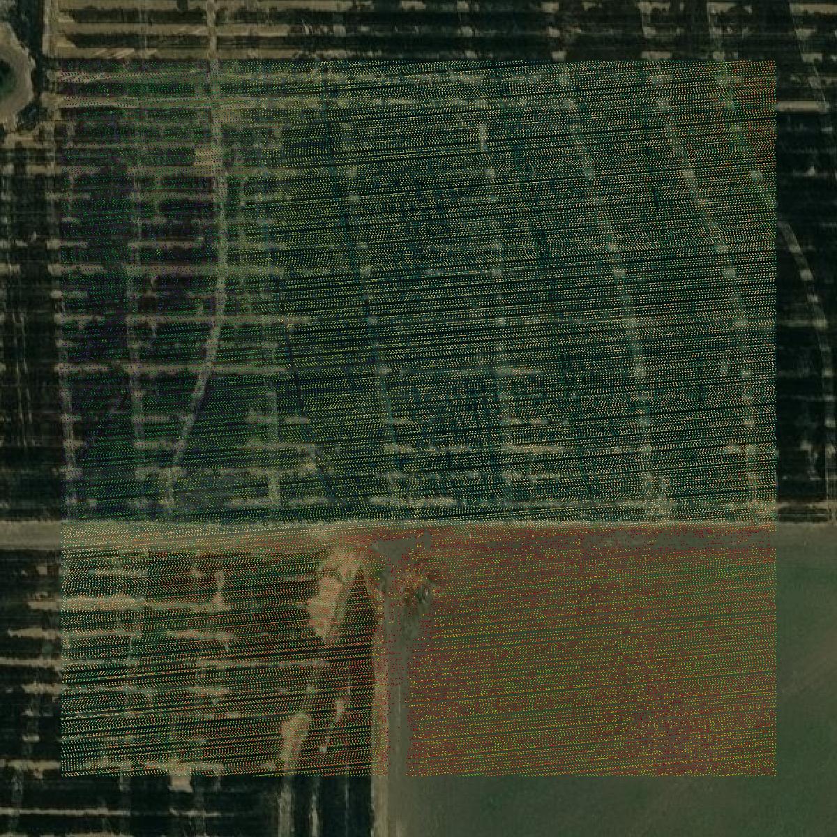 This image shows a LiDAR point cloud in Poinsett County created using GIS data in Equator.