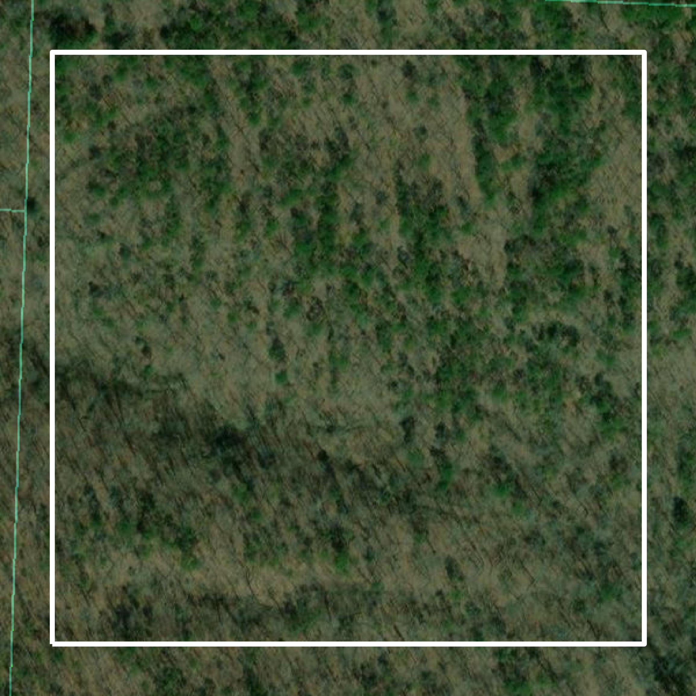 This image shows parcel and building data in Polk County created using GIS data in Equator.