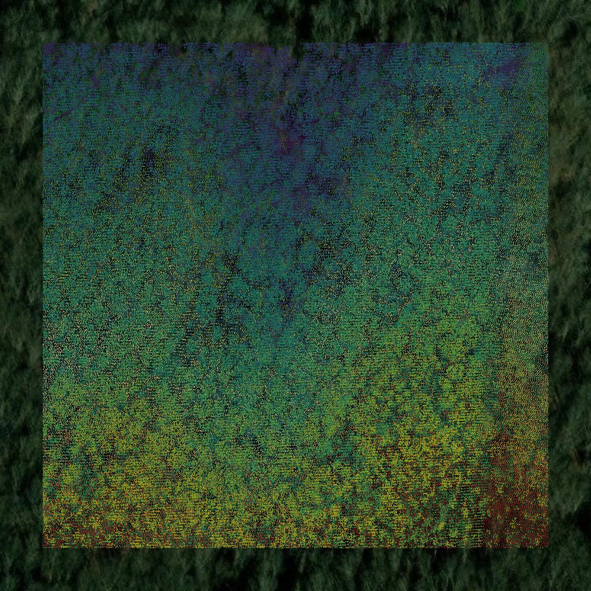 This image shows a LiDAR point cloud in Polk County created using GIS data in Equator.