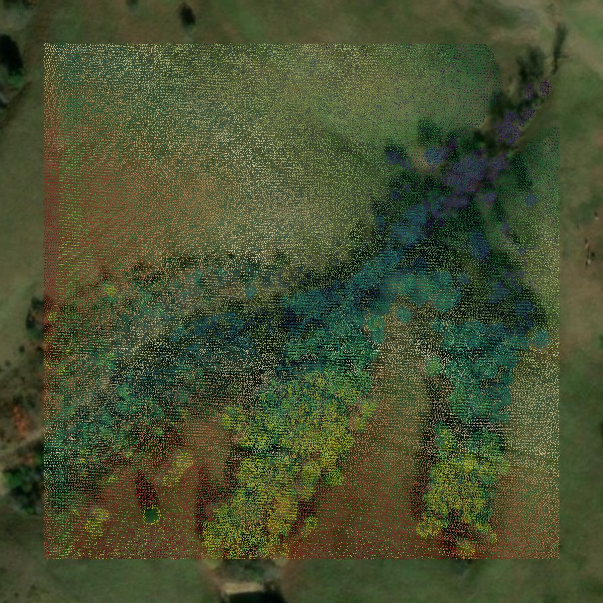 This image shows a LiDAR point cloud in Polk County created using GIS data in Equator.