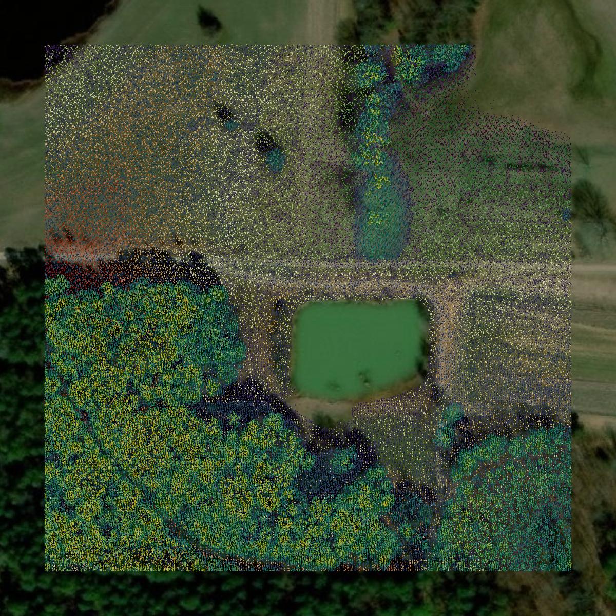 This image shows a LiDAR point cloud in Pope County created using GIS data in Equator.
