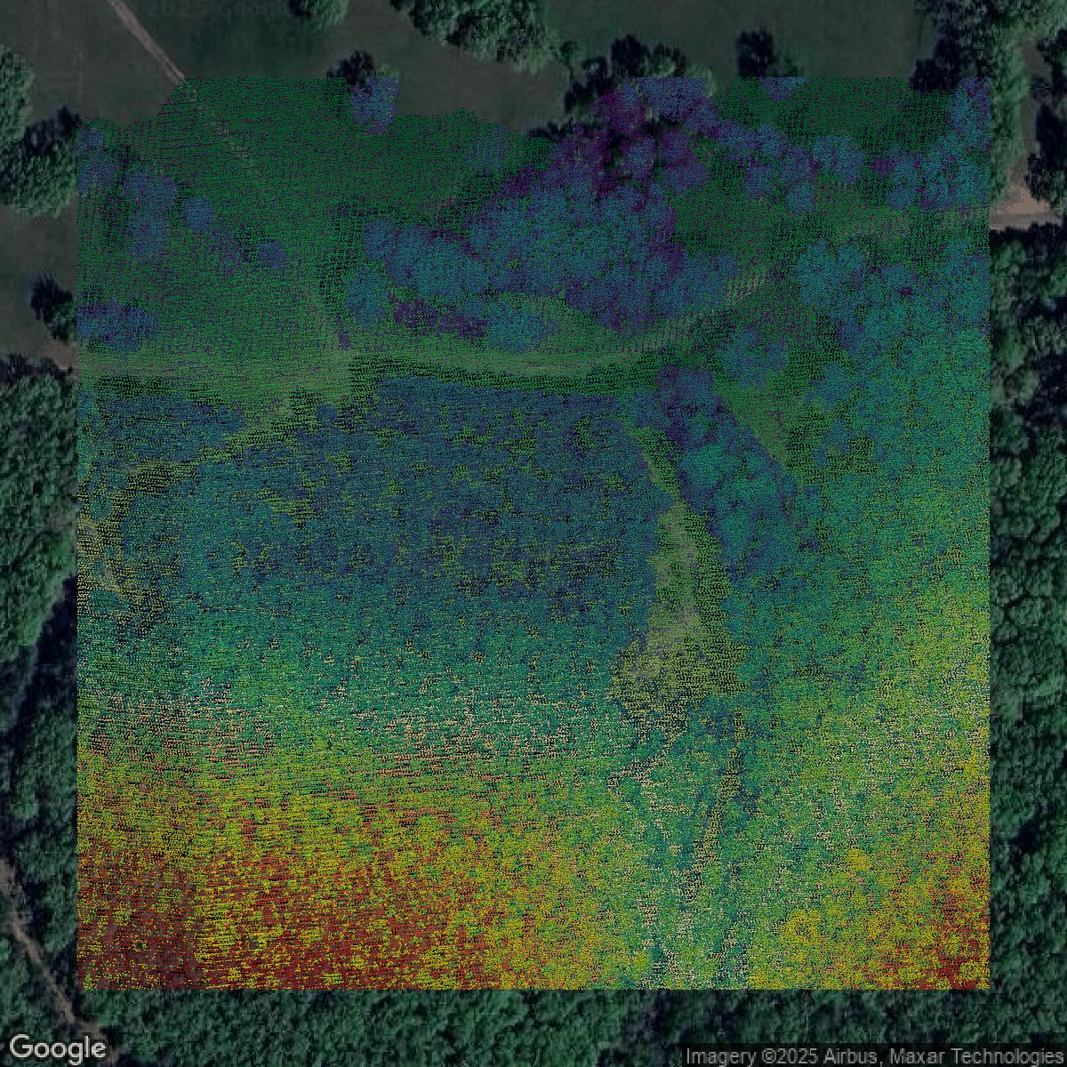 This image shows a LiDAR point cloud in Pulaski County created using GIS data in Equator.