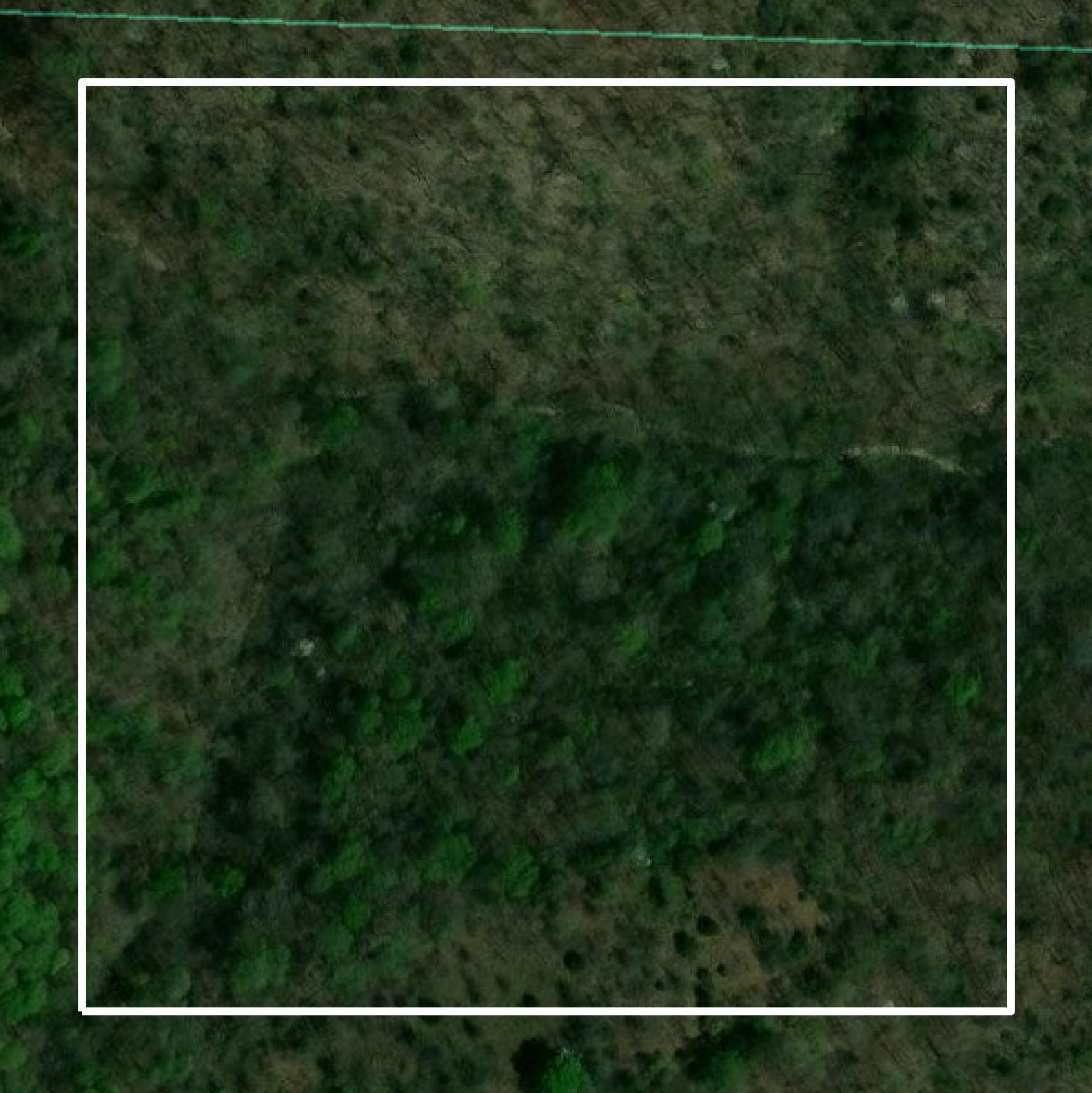 This image shows parcel and building data in Searcy County created using GIS data in Equator.