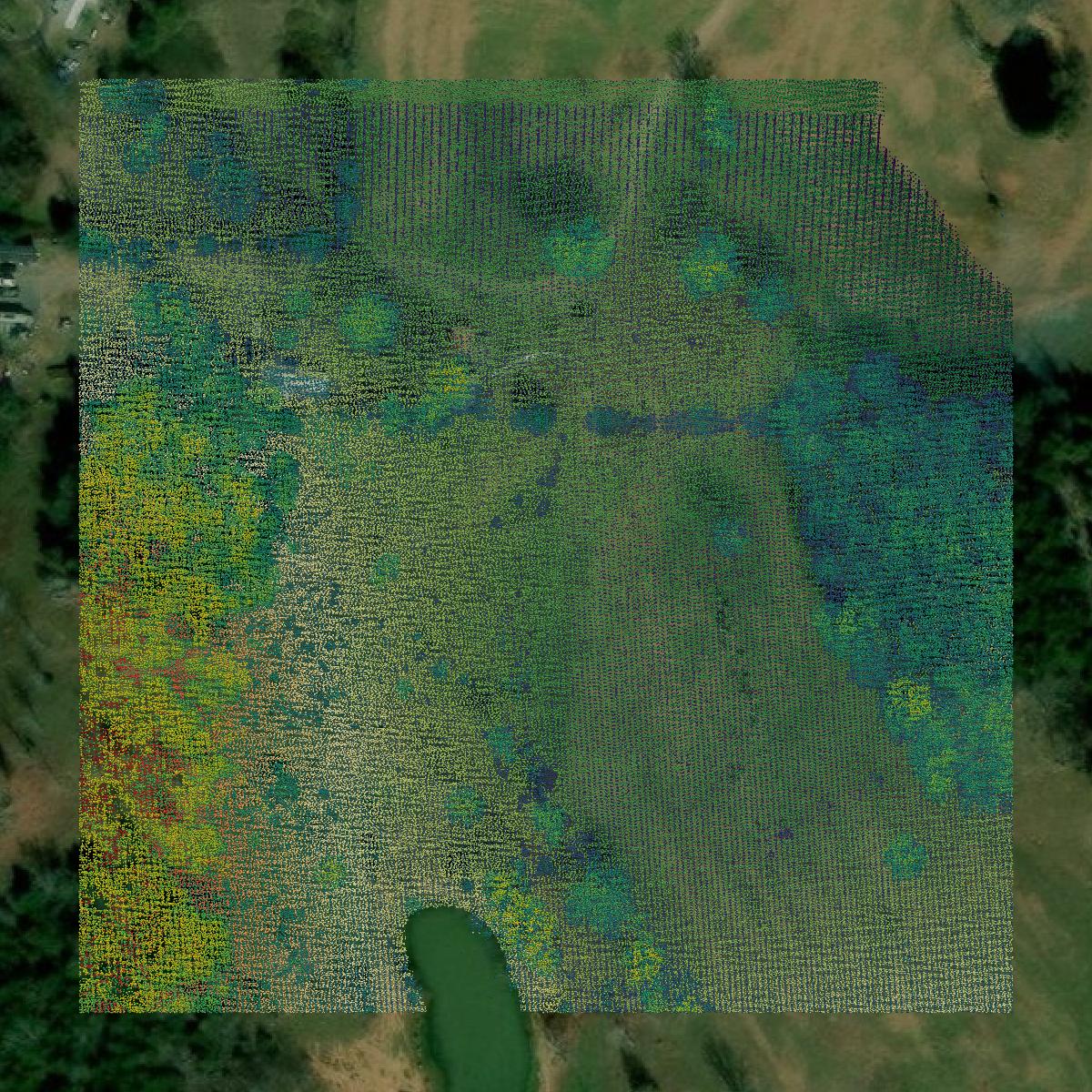This image shows a LiDAR point cloud in Searcy County created using GIS data in Equator.