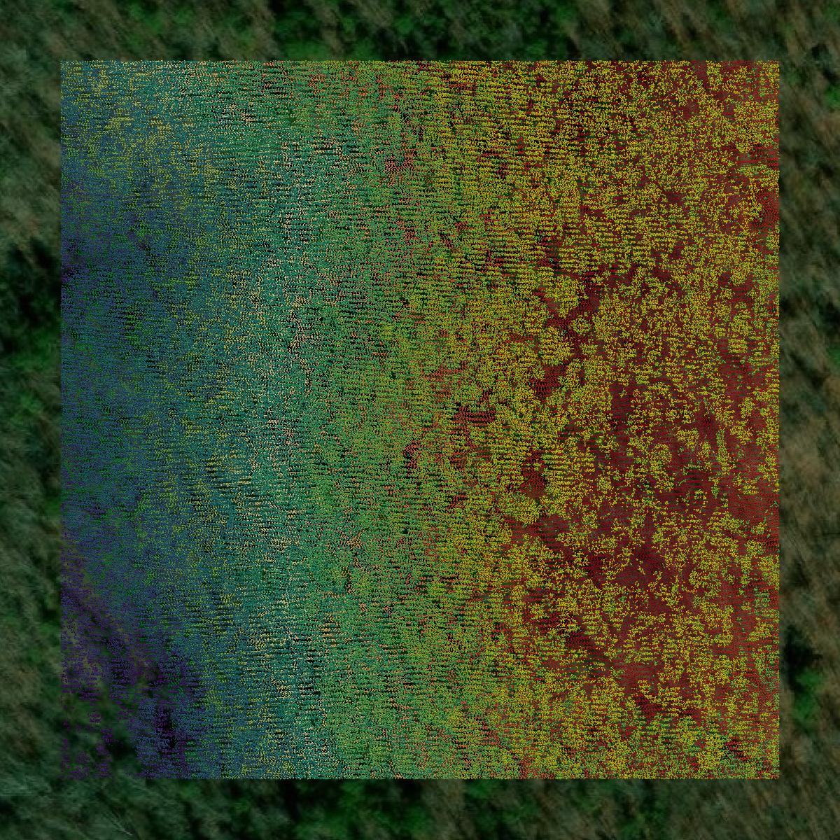 This image shows a LiDAR point cloud in Searcy County created using GIS data in Equator.