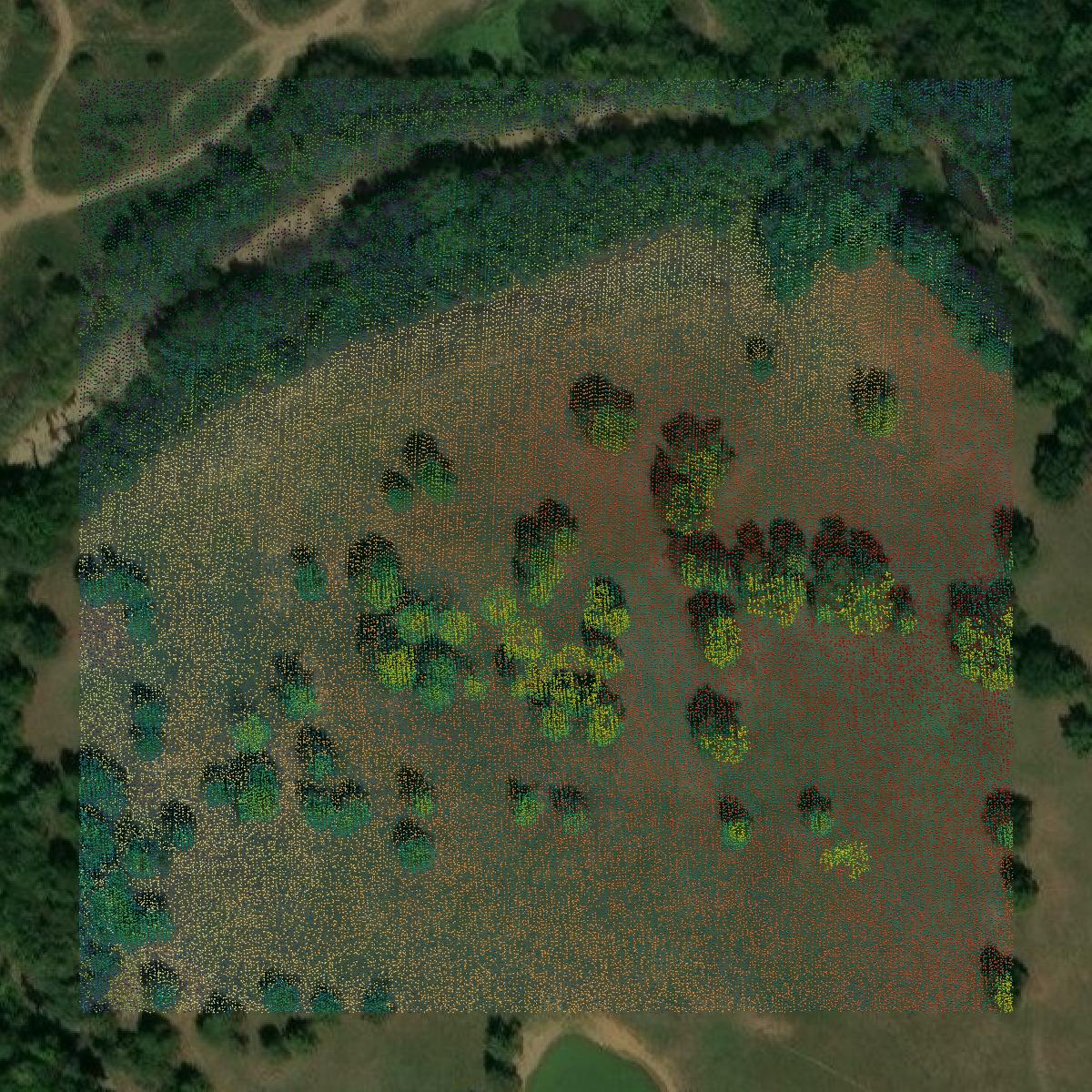 This image shows a LiDAR point cloud in Sebastian County created using GIS data in Equator.