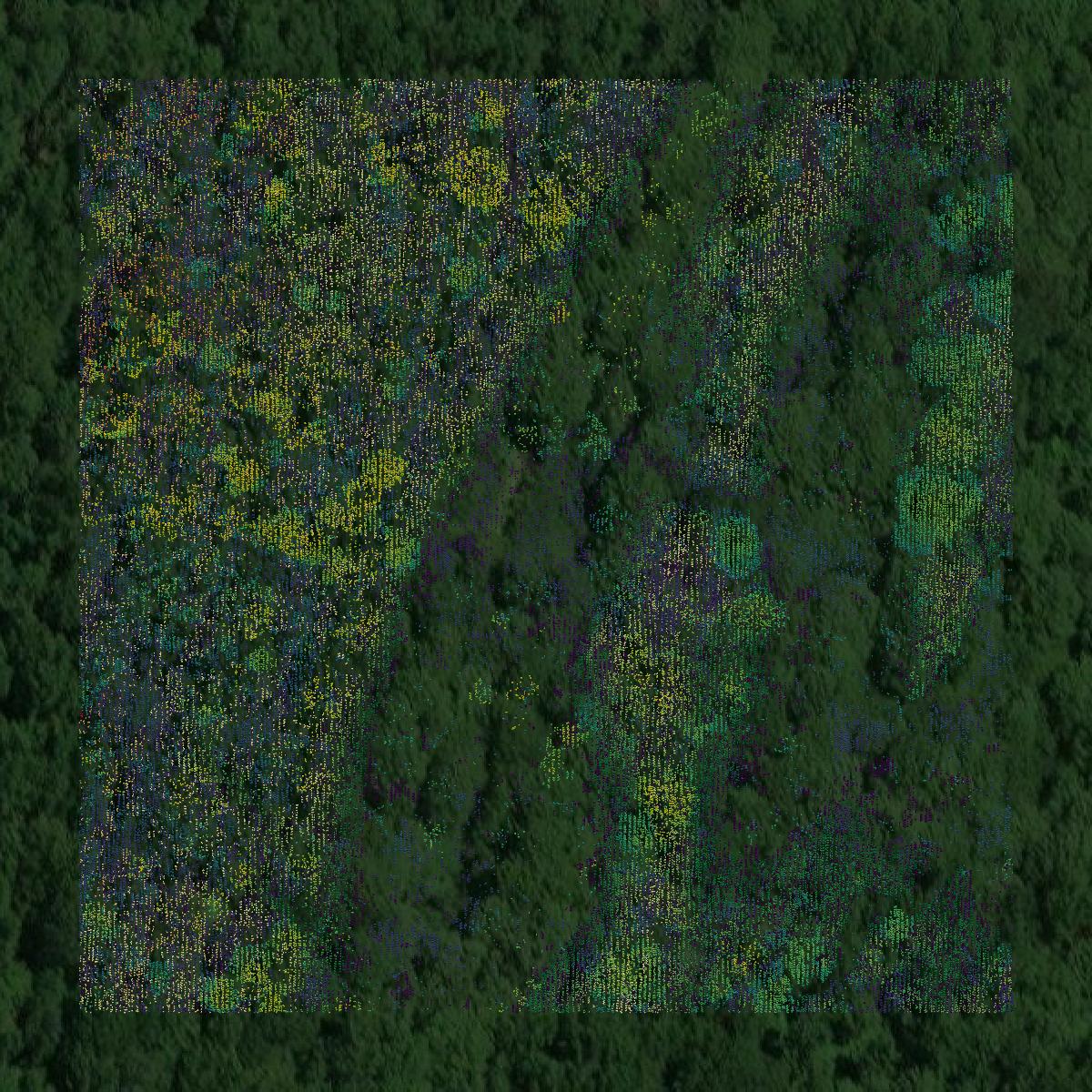 This image shows a LiDAR point cloud in Sevier County created using GIS data in Equator.