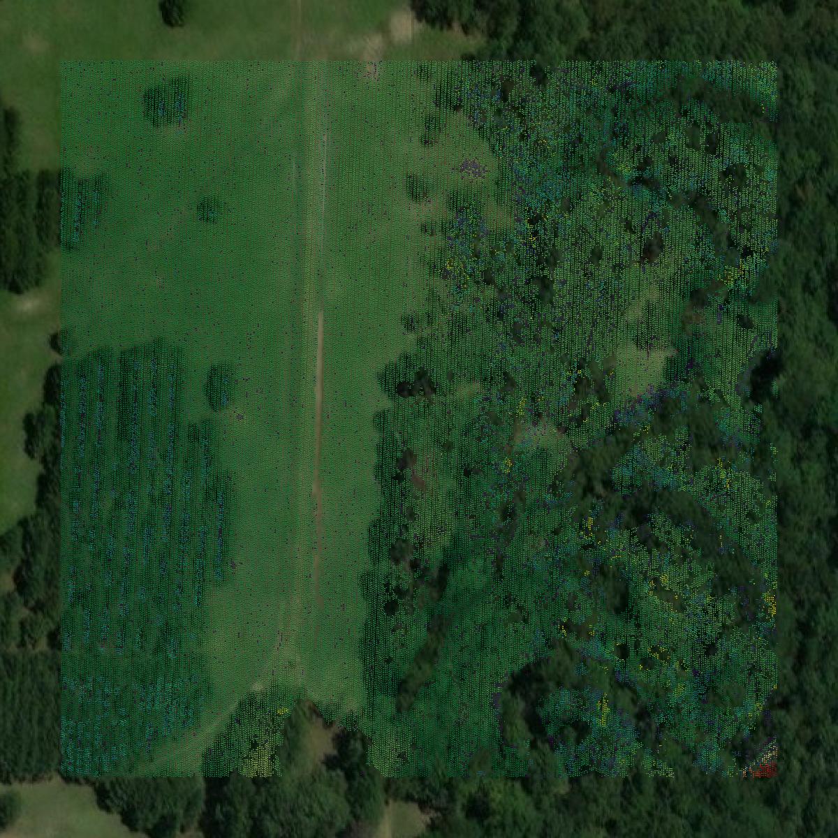 This image shows a LiDAR point cloud in Sevier County created using GIS data in Equator.