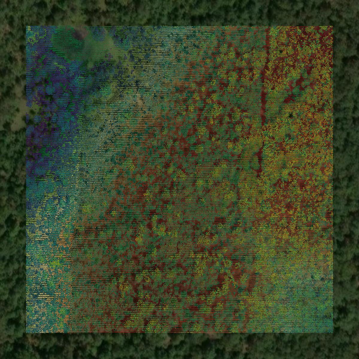 This image shows a LiDAR point cloud in Sharp County created using GIS data in Equator.