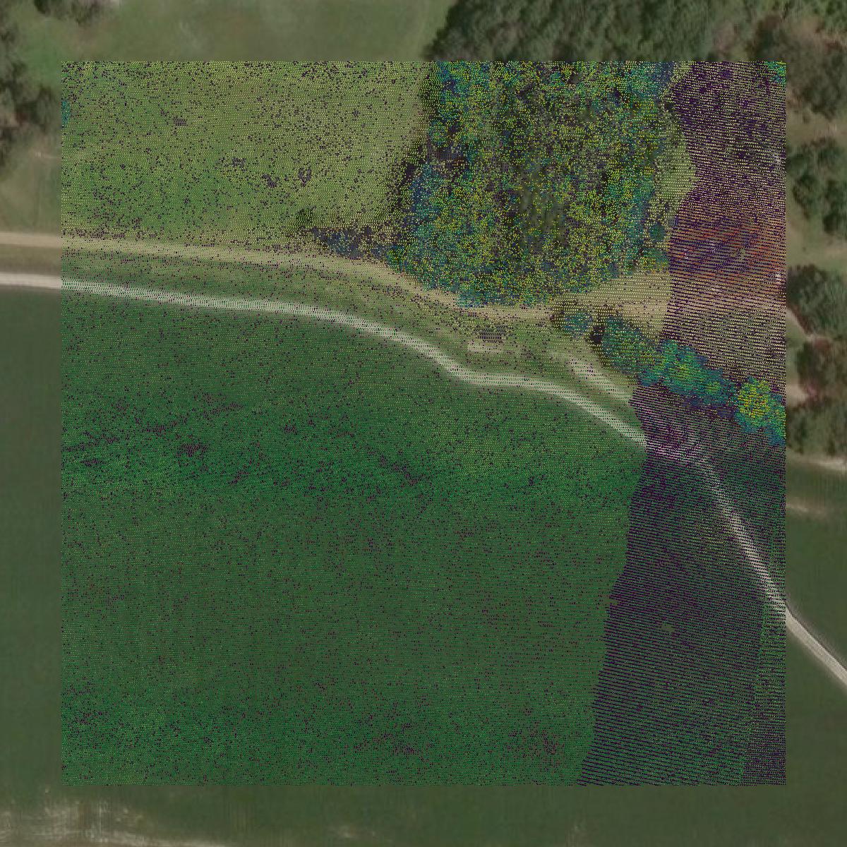 This image shows a LiDAR point cloud in St. Francis County created using GIS data in Equator.