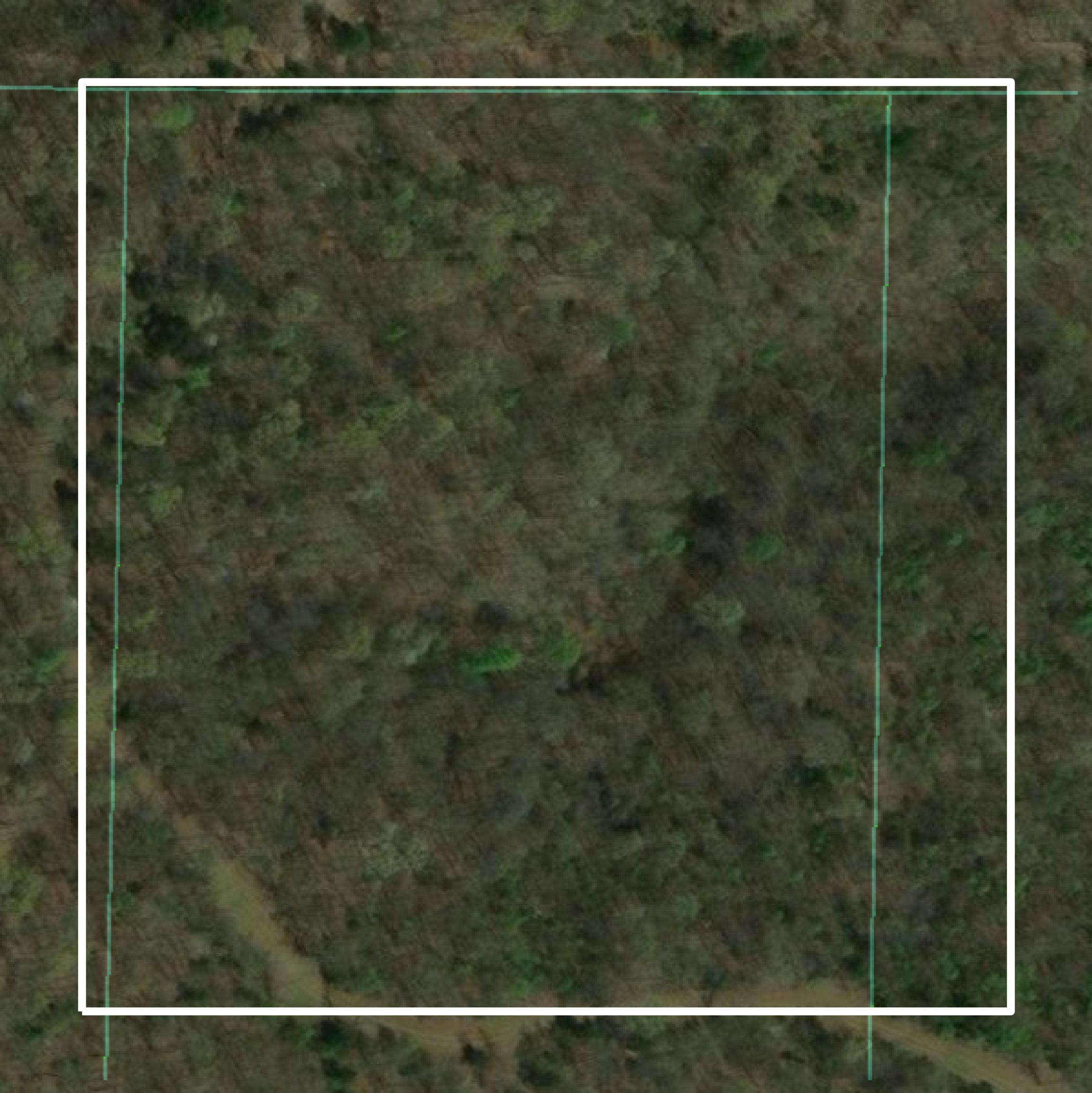 This image shows parcel and building data in Stone County created using GIS data in Equator.