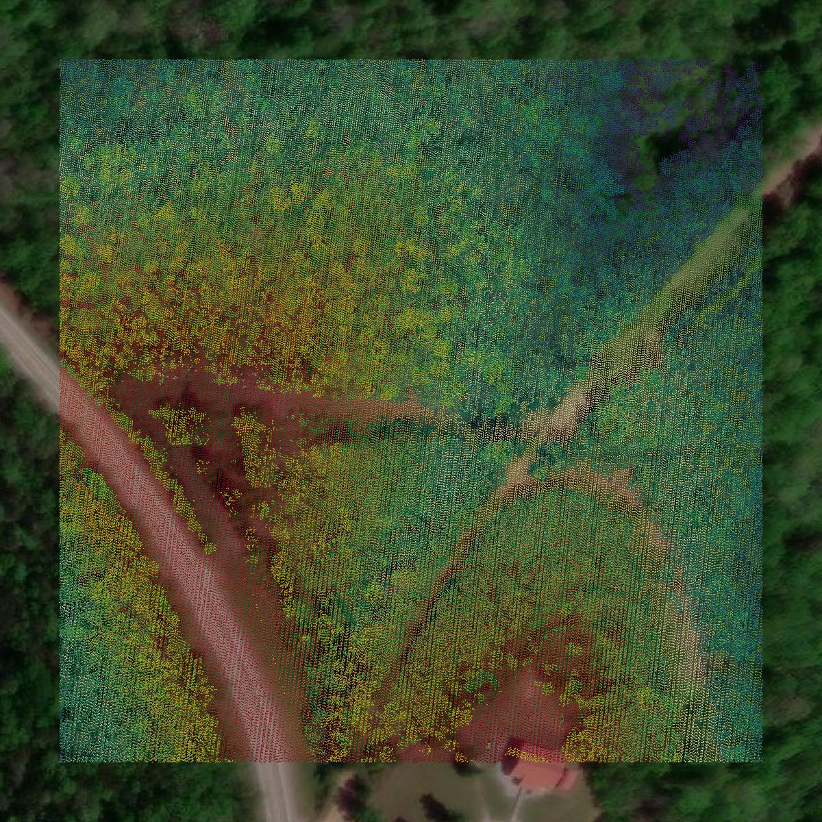 This image shows a LiDAR point cloud in Stone County created using GIS data in Equator.