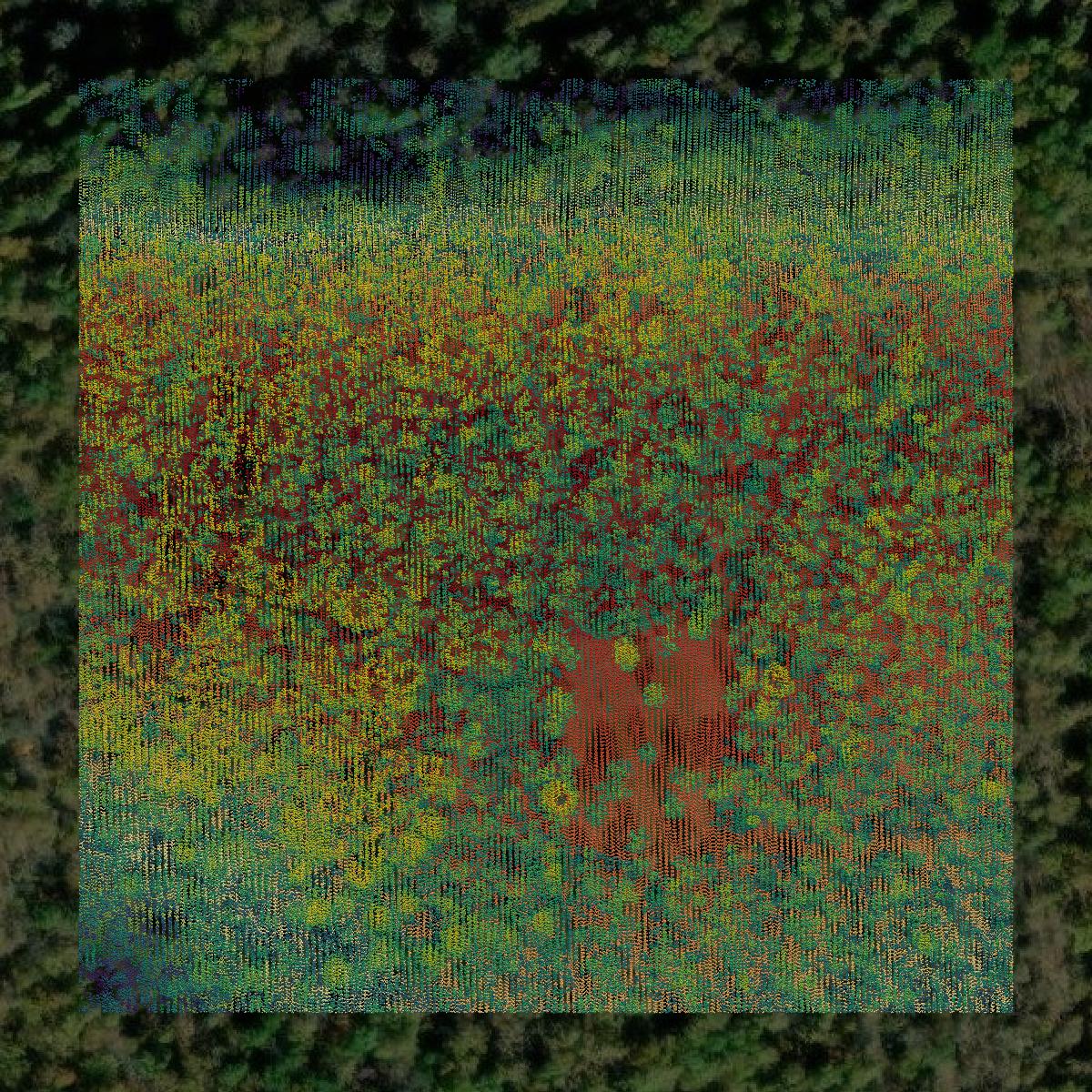 This image shows a LiDAR point cloud in Stone County created using GIS data in Equator.