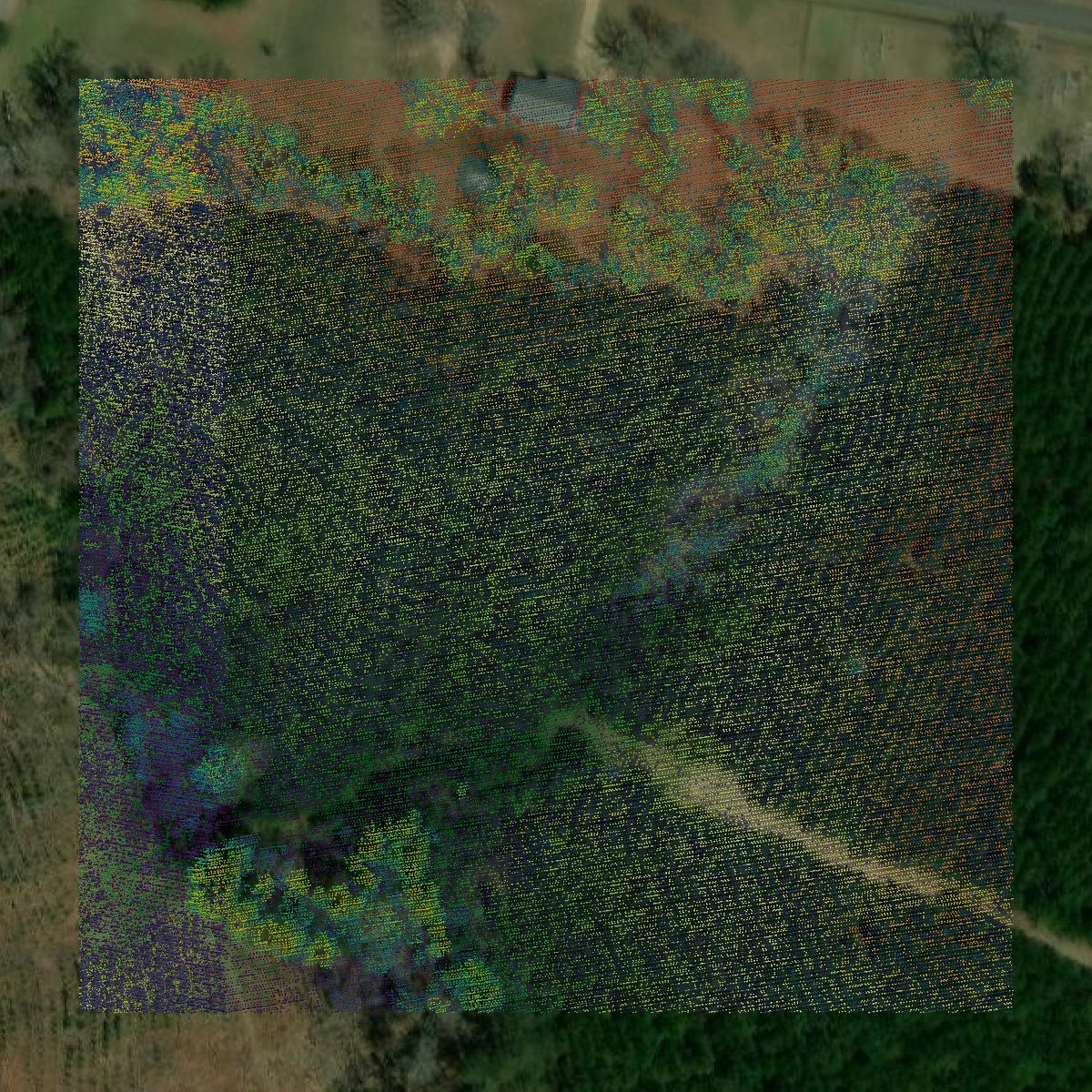 This image shows a LiDAR point cloud in Union County created using GIS data in Equator.