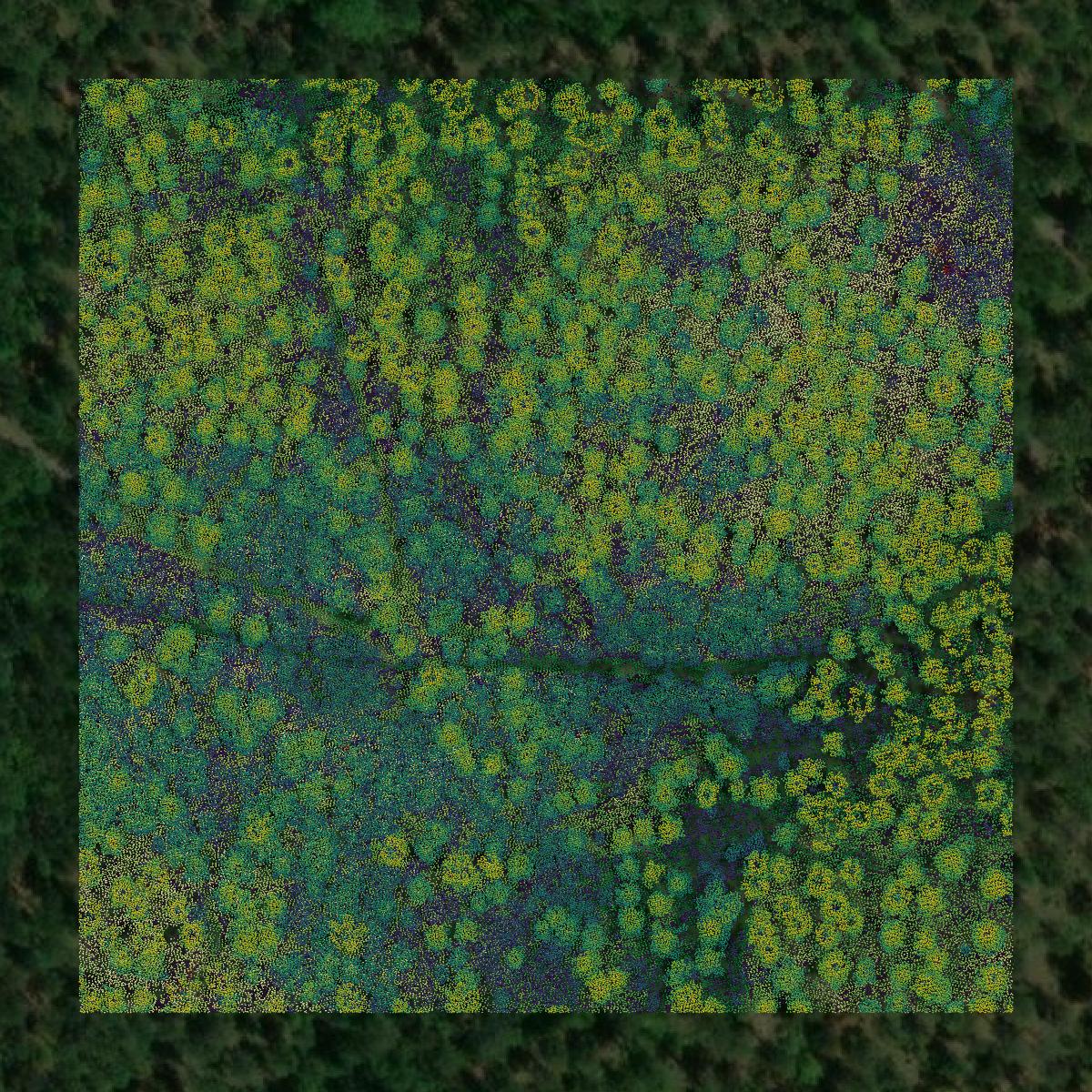 This image shows a LiDAR point cloud in Union County created using GIS data in Equator.