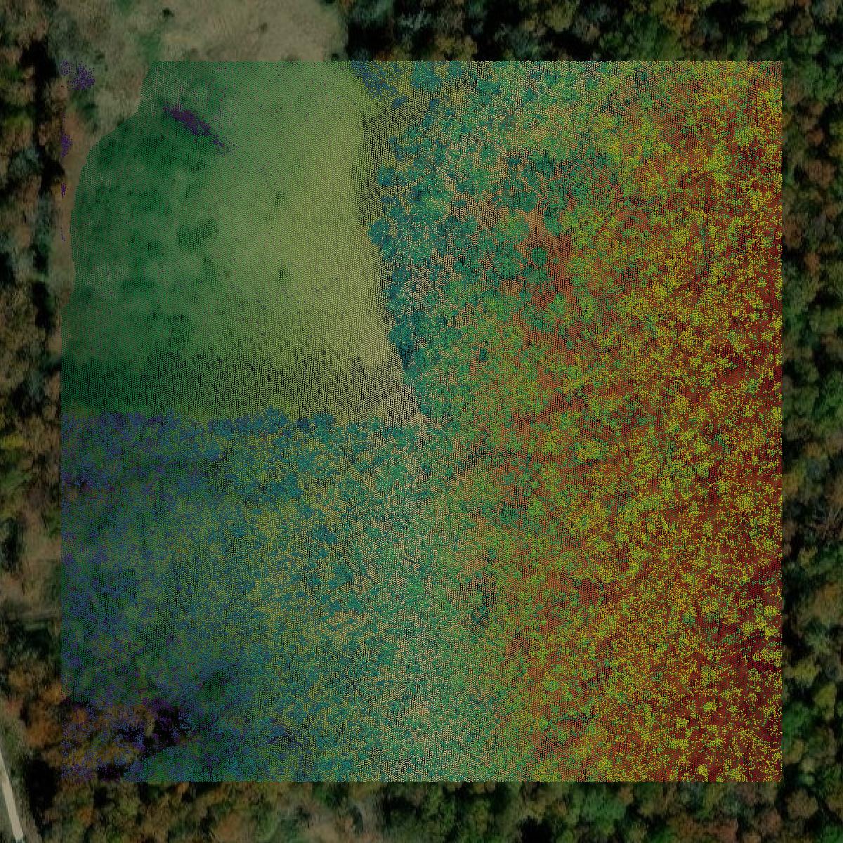 This image shows a LiDAR point cloud in Washington County created using GIS data in Equator.