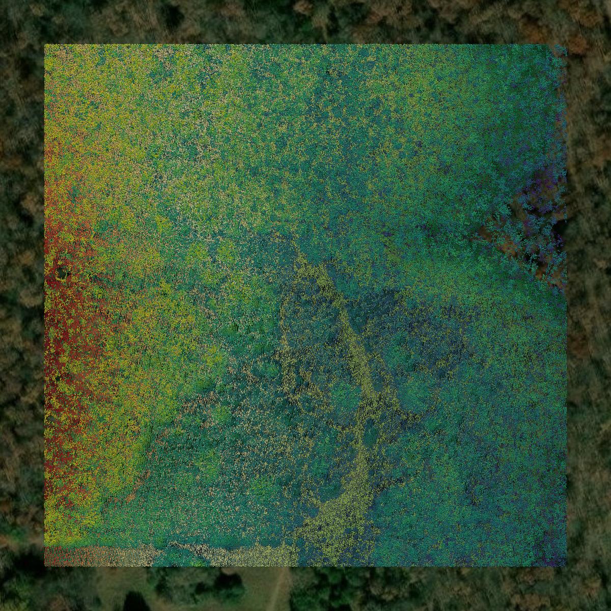 This image shows a LiDAR point cloud in Washington County created using GIS data in Equator.