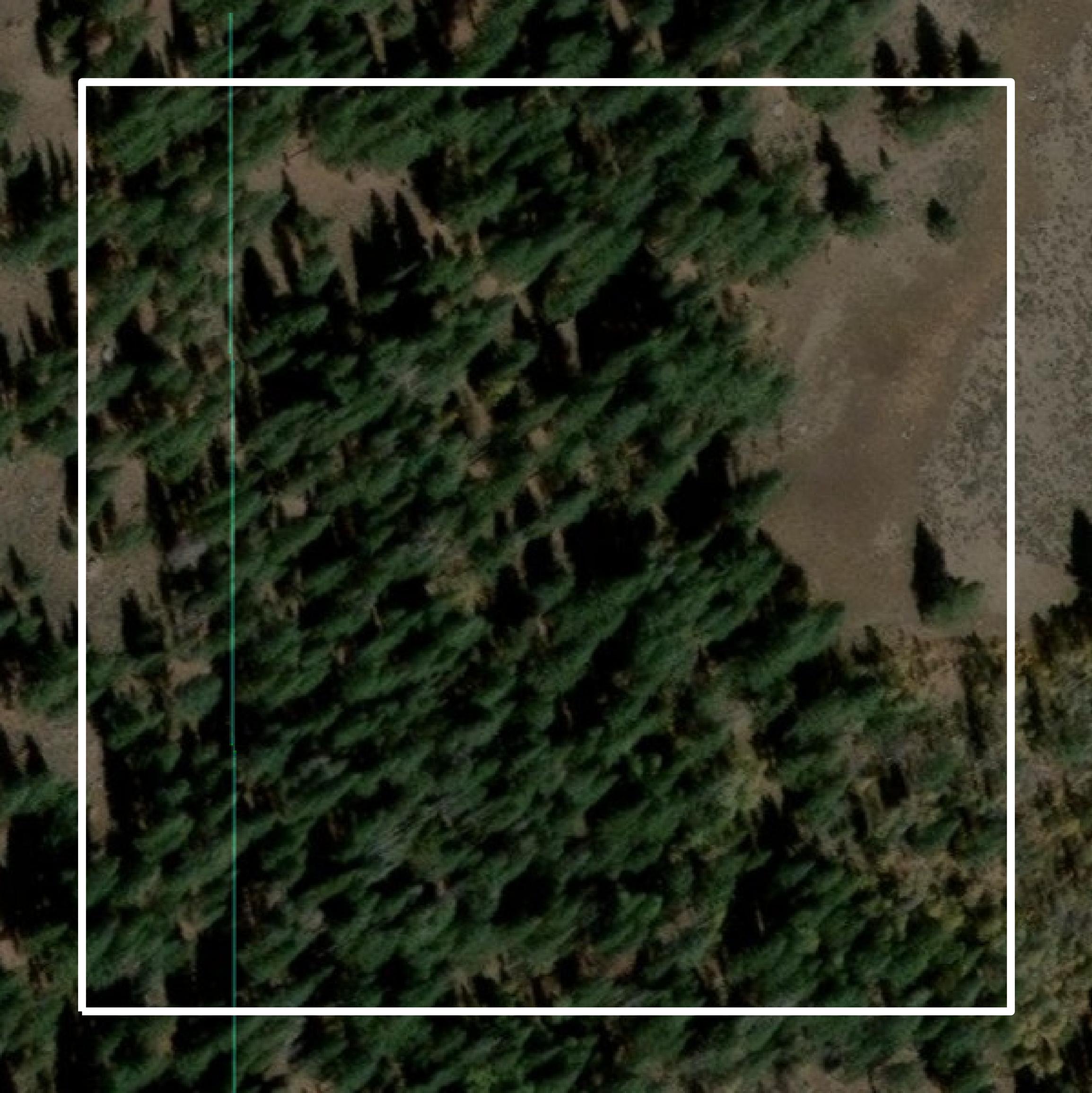 This image shows parcel and building data in Alpine County created using GIS data in Equator.