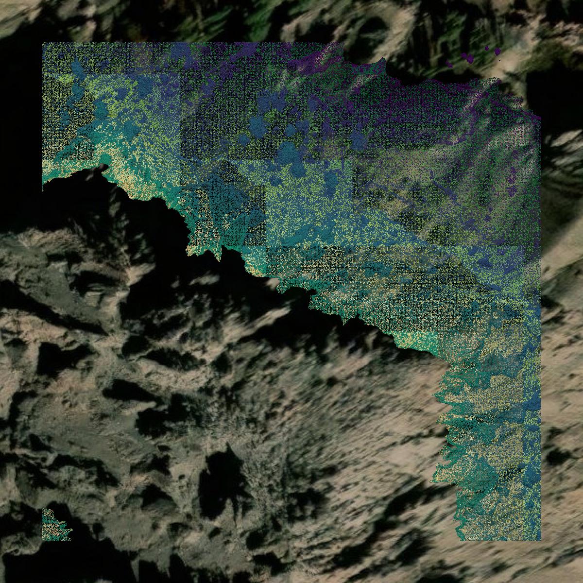 This image shows a LiDAR point cloud in Alpine County created using GIS data in Equator.