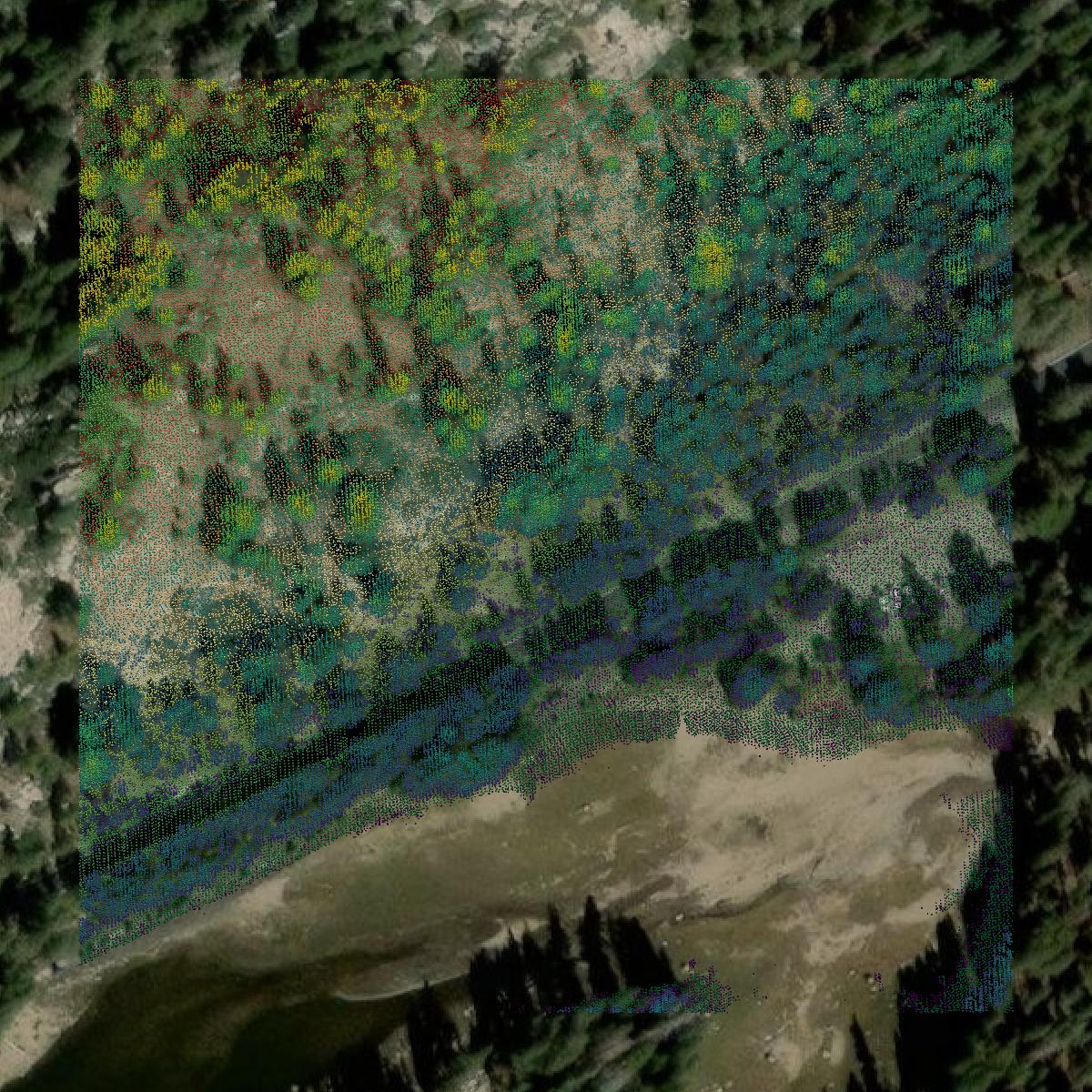 This image shows a LiDAR point cloud in Alpine County created using GIS data in Equator.