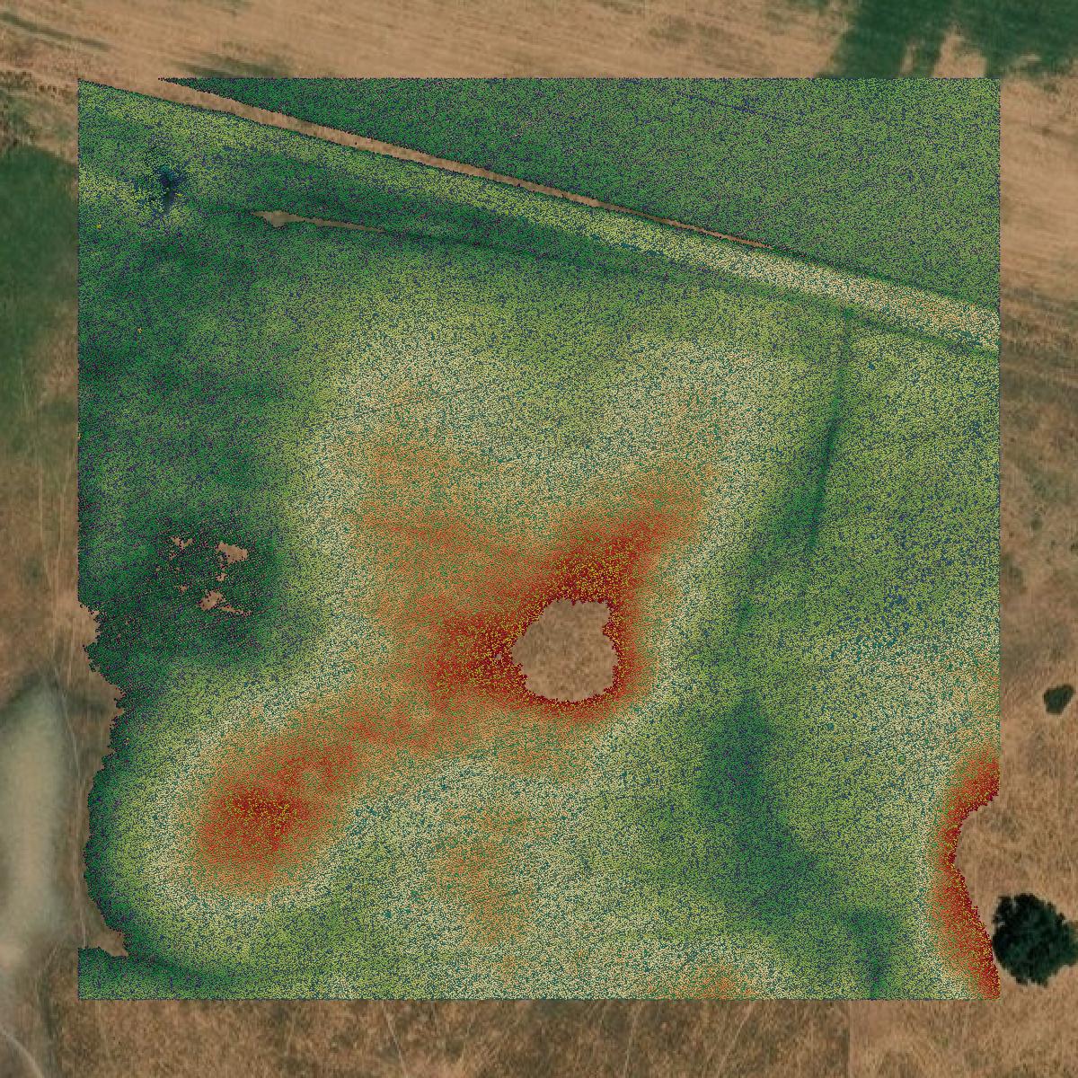 This image shows a LiDAR point cloud in Amador County created using GIS data in Equator.