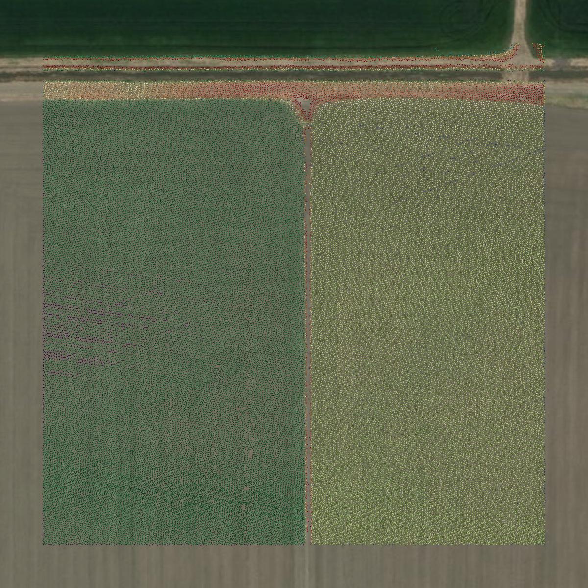 This image shows a LiDAR point cloud in Butte County created using GIS data in Equator.