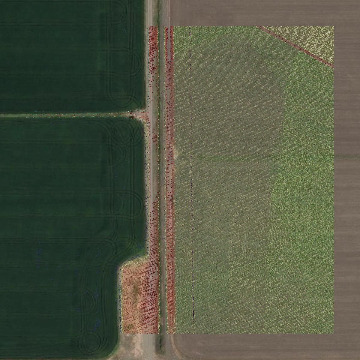 This image shows a LiDAR point cloud in Butte County created using GIS data in Equator.