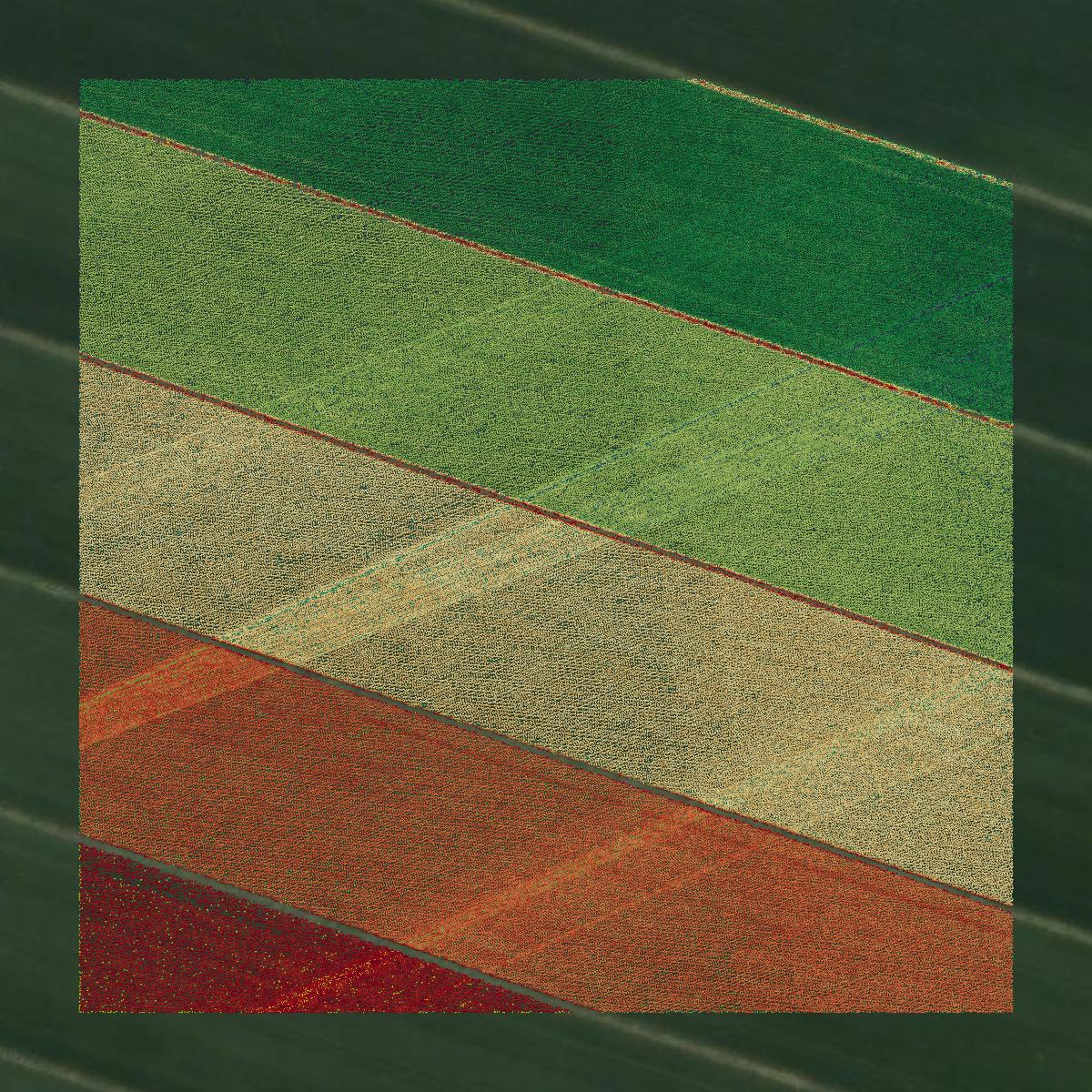 This image shows a LiDAR point cloud in Colusa County created using GIS data in Equator.