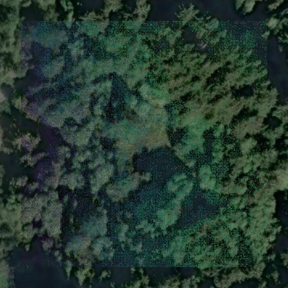 This image shows a LiDAR point cloud in Del Norte County created using GIS data in Equator.