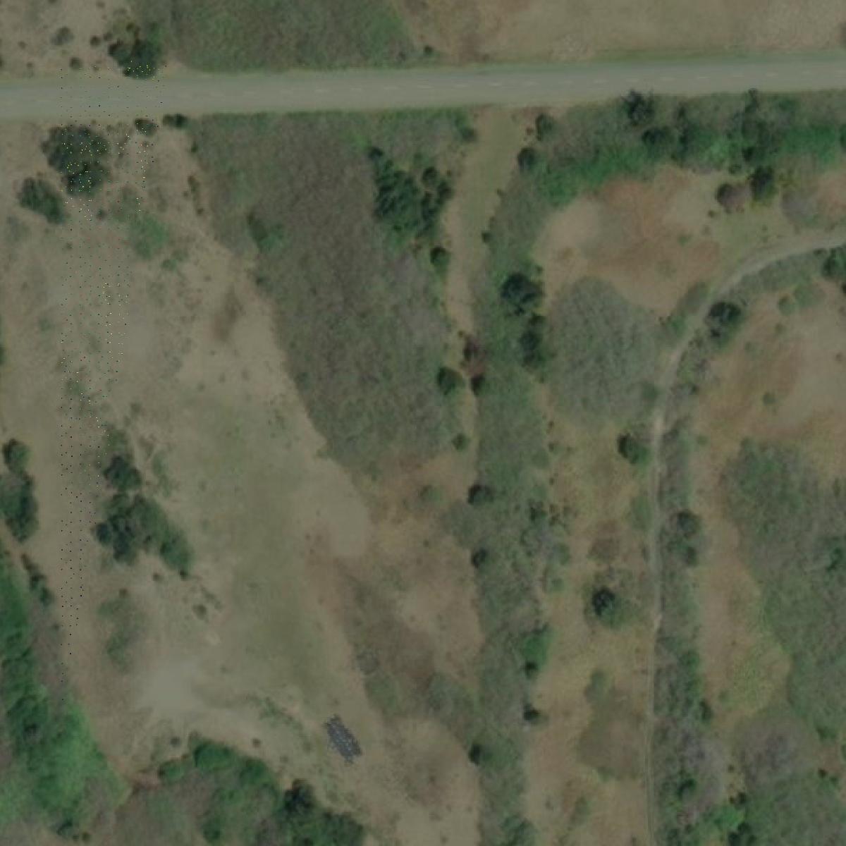 This image shows a LiDAR point cloud in Del Norte County created using GIS data in Equator.