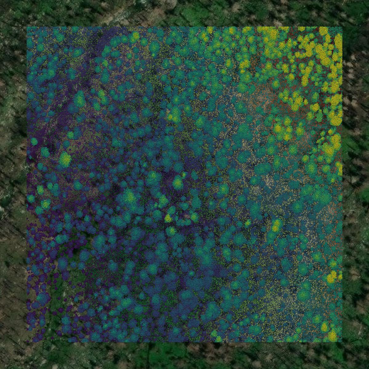 This image shows a LiDAR point cloud in El Dorado County created using GIS data in Equator.