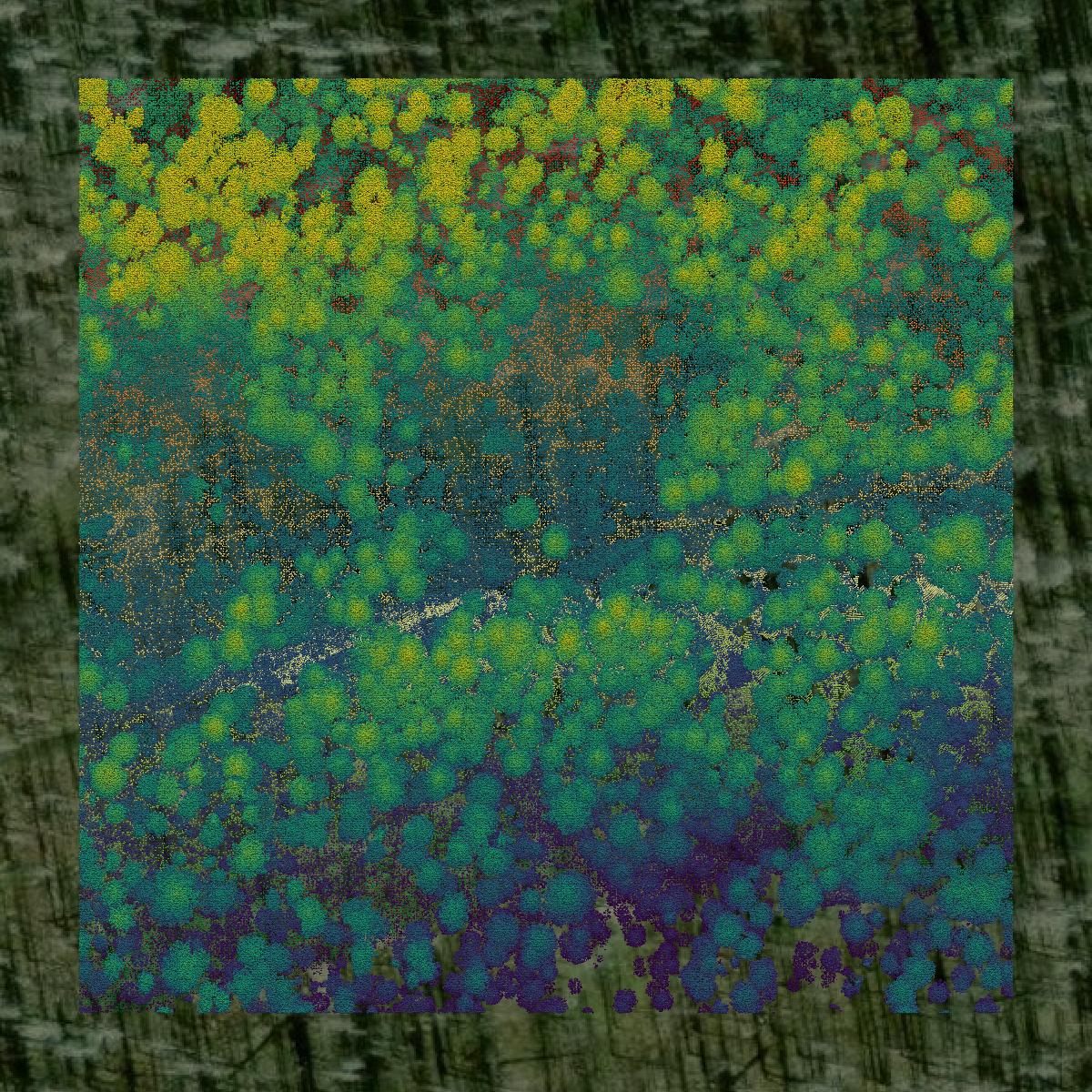 This image shows a LiDAR point cloud in El Dorado County created using GIS data in Equator.
