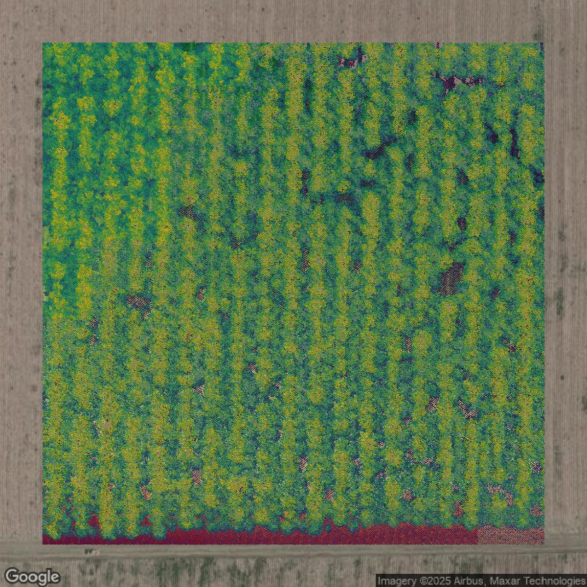 This image shows a LiDAR point cloud in Fresno County created using GIS data in Equator.