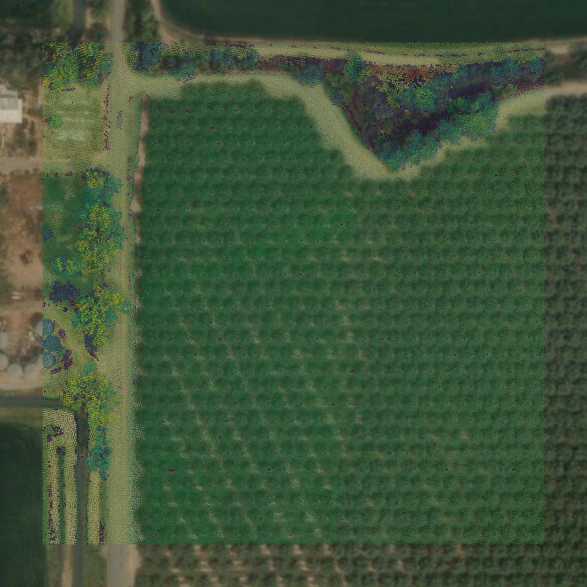 This image shows a LiDAR point cloud in Glenn County created using GIS data in Equator.