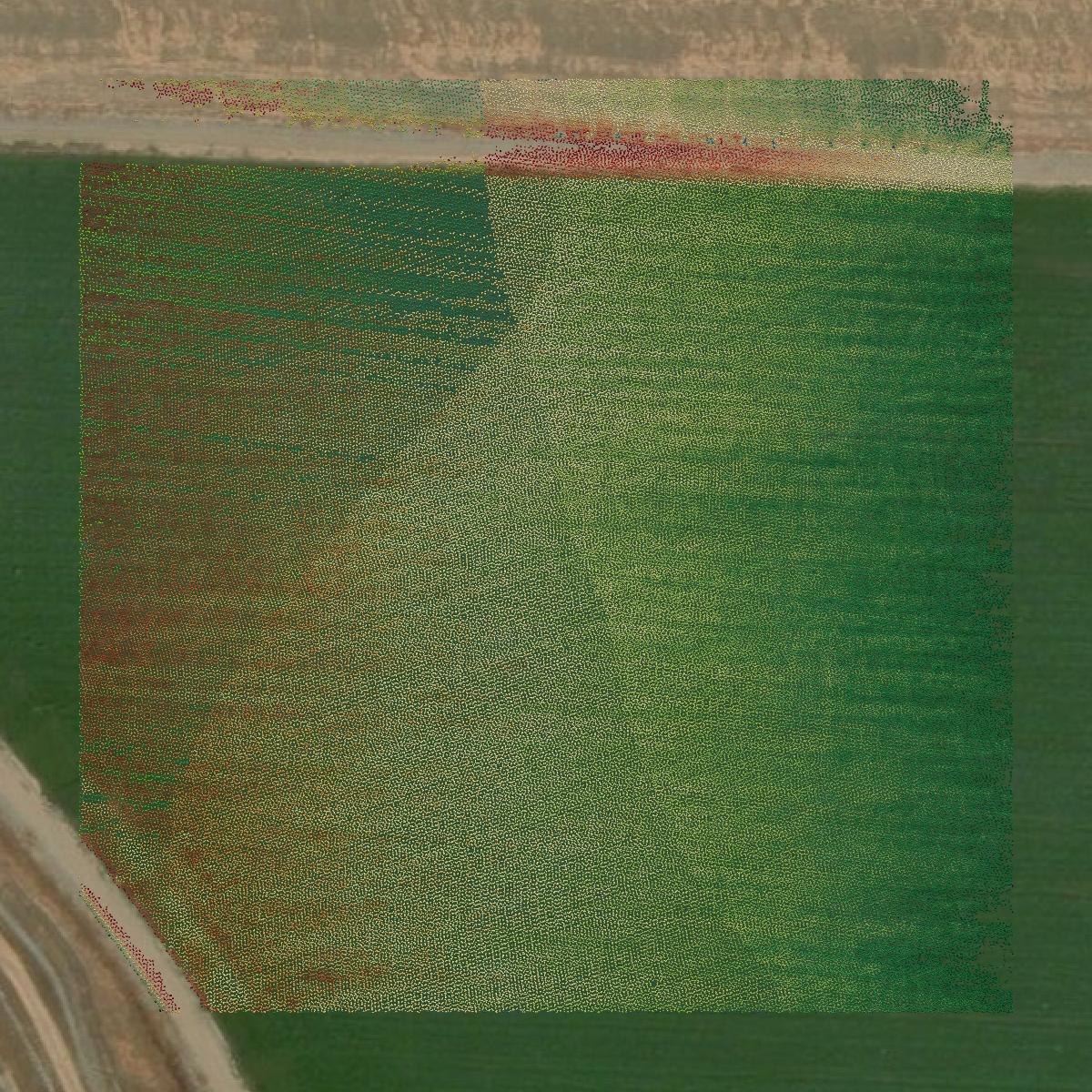 This image shows a LiDAR point cloud in Glenn County created using GIS data in Equator.