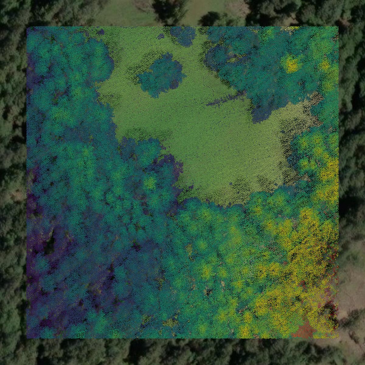 This image shows a LiDAR point cloud in Humboldt County created using GIS data in Equator.