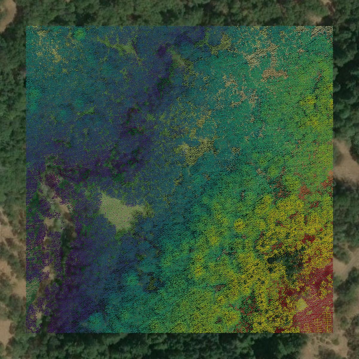 This image shows a LiDAR point cloud in Humboldt County created using GIS data in Equator.